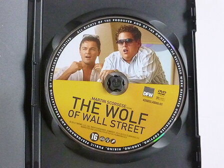 Martin Scorsese - The Wolf of Wall Street (DVD)