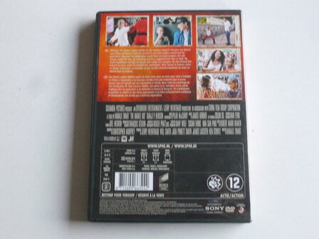 The Karate Kid (DVD)