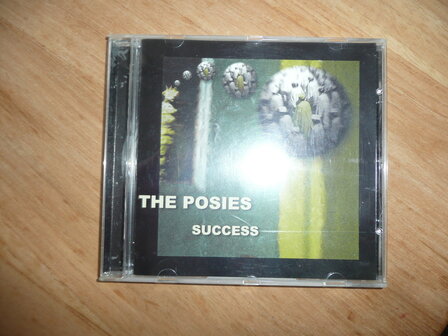 The Posies - Success