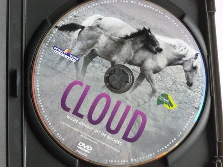 Cloud - Wilde hengst uit de Rockies (DVD)