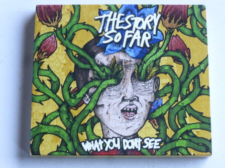 The Story so Far - What you don&#039;t see