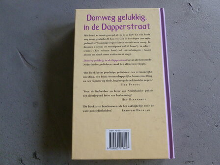 Domweg gelukkig, in de Dapperstraat (boek)