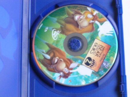 Brother Bear 2 (DVD) Walt Disney 