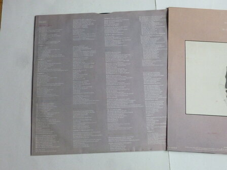 Paul Simon - Greatest Hits , Etc. (LP)