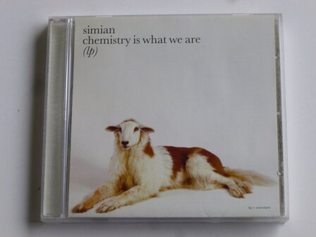 Simian - Chemistry is what we are