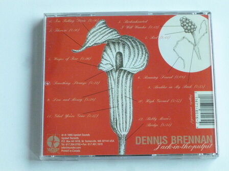 Dennis Brennan - Jack in the Pulpit