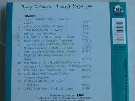 Andy Tielman - I can&#039;t forget you