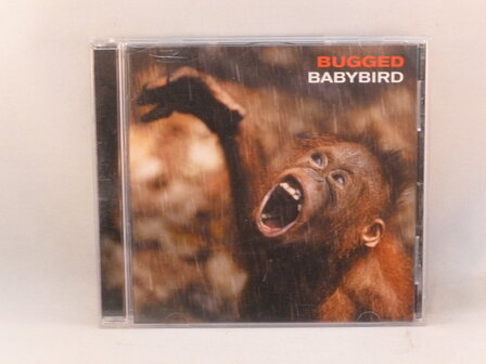 Bugged - Babybird