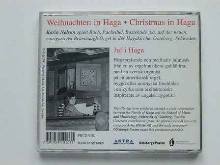 Jul i Haga - Karin Nelson plays Christmas Music