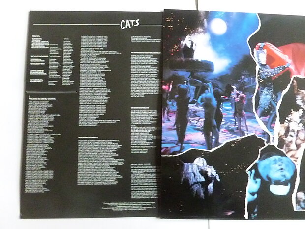 Cats - Nederlandstalige versie (2 LP)