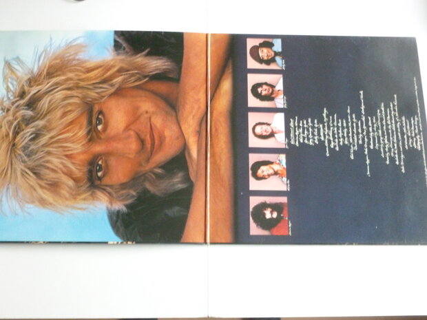 Rod Stewart - Blondes have more fun (LP)