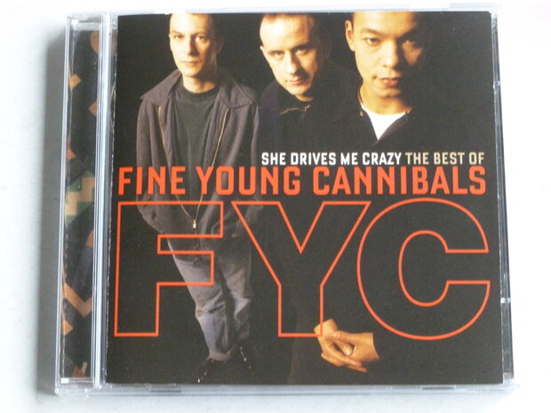 Fine Young Cannibals - She drives me crazy / The best of (2 CD)