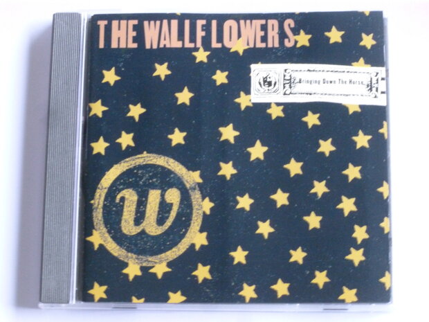 The Wallflowers - Bringing down the Horse